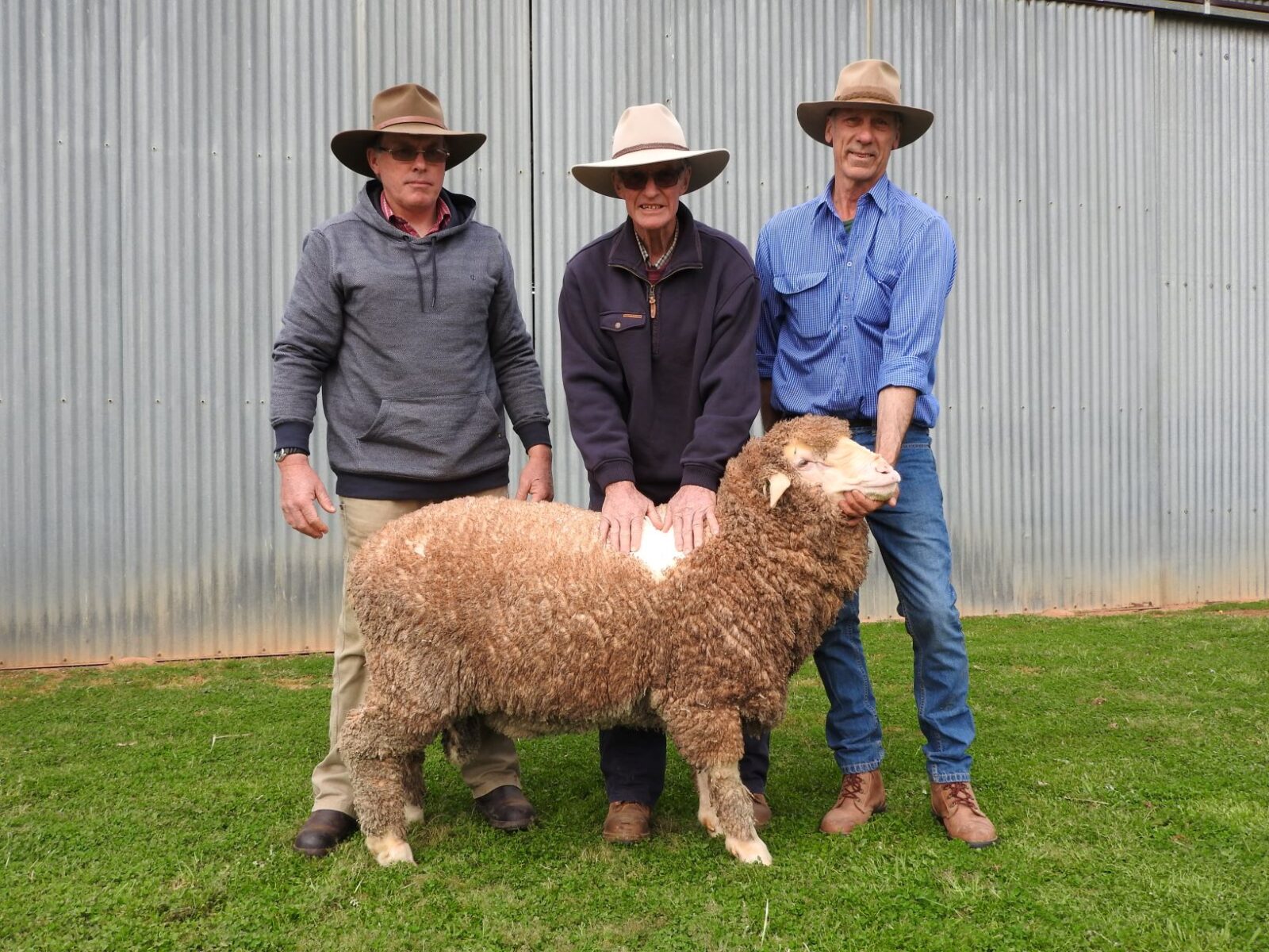 2020 3rd Top priced. Chris & Max Webb with 3rd Top Priced Ram