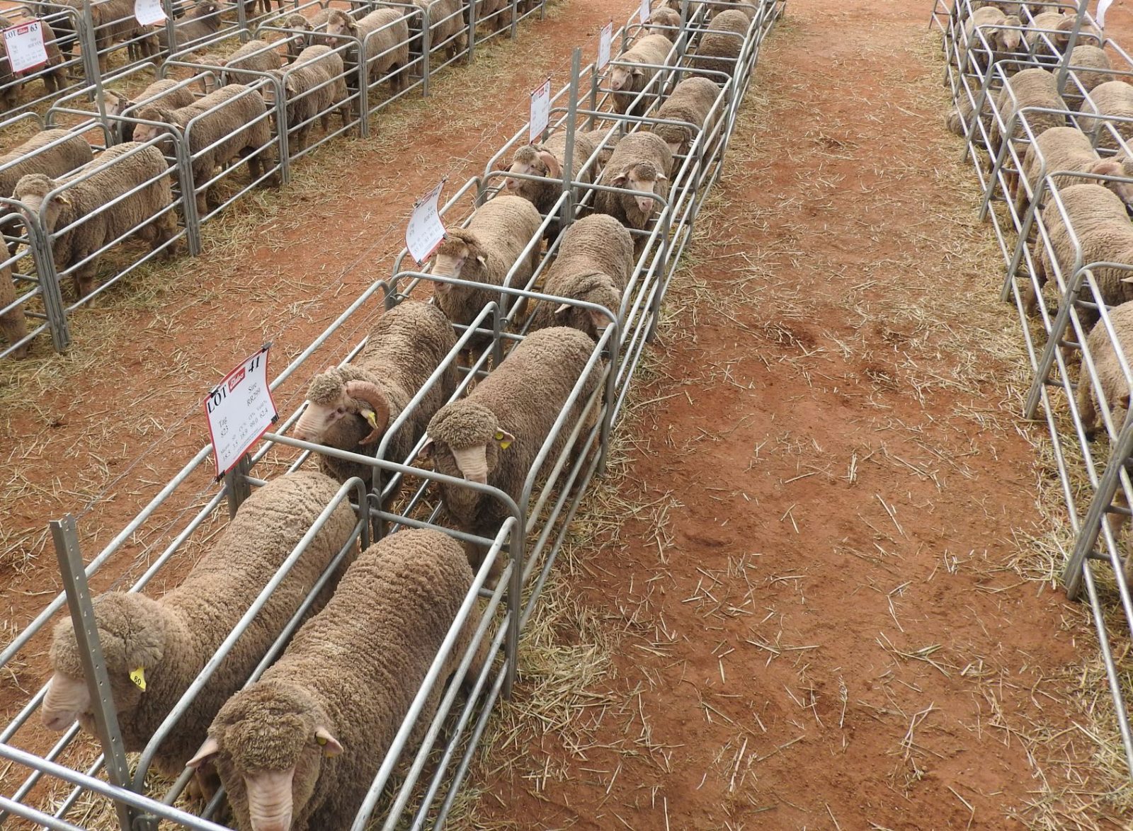 2021 Ram Sale Day